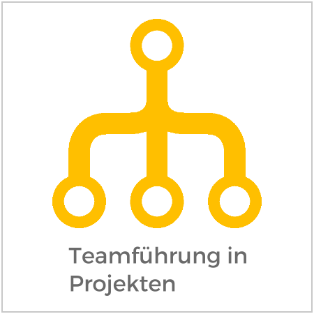 Teamführung in Projekten